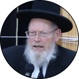 Headshot of Harav Yisroel Ganz